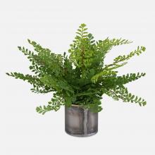  60237 - Uttermost Maidenhair Fern In Oxidized Container