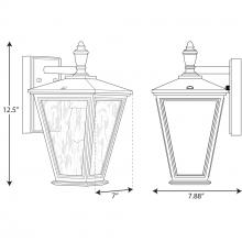 PROG_P560166dimensions_lineart.jpg