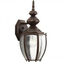 Progress P5765-20 - Roman Coach One-Light Medium Wall Lantern