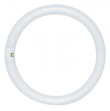 Satco Products Inc. S6506 - 40 Watt; T9; Circline Fluorescent; 4100K Cool White; 62 CRI; 4-Pin base