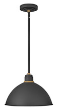 Hinkley Merchant 10685TK - Large Convertible Pendant Barn Light