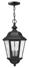 Hinkley Merchant 1672BK - Medium Hanging Lantern