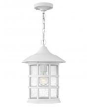 Hinkley Merchant 1862TW - Medium Hanging Lantern