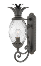 Hinkley Merchant 2120MB - Large Wall Mount Lantern