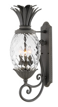 Hinkley Merchant 2124MB - Large Wall Mount Lantern