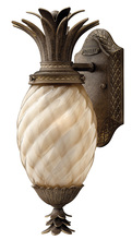 Hinkley Merchant 2126PZ - Medium Wall Mount Lantern