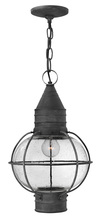 Hinkley Merchant 2202DZ - Medium Hanging Lantern