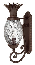 Hinkley Merchant 2220CB - Large Wall Mount Lantern