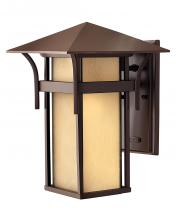 Hinkley Merchant 2574AR-LV - Medium Wall Mount Lantern 12v