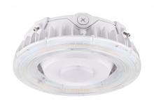 Nuvo 65/623 - LED Canopy Fixture; 25 Watt; CCT Selectable; White Finish; 100-277 Volt