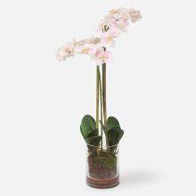 Uttermost 60196 - Blush Pink And White Orchid