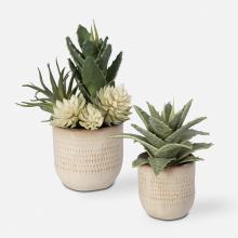 Uttermost 60208 - Uttermost Seaside Succulents, Set/2