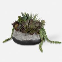 Uttermost 60214 - Uttermost Yuma Succulent Centerpiece